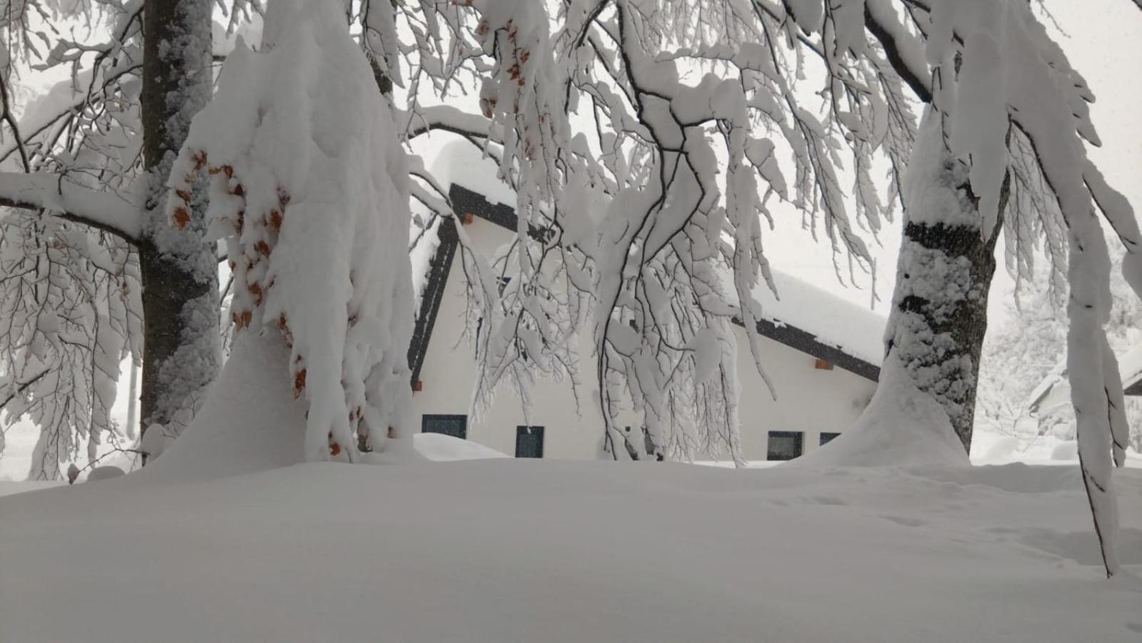 Villa Oak House Brusane Esterno foto